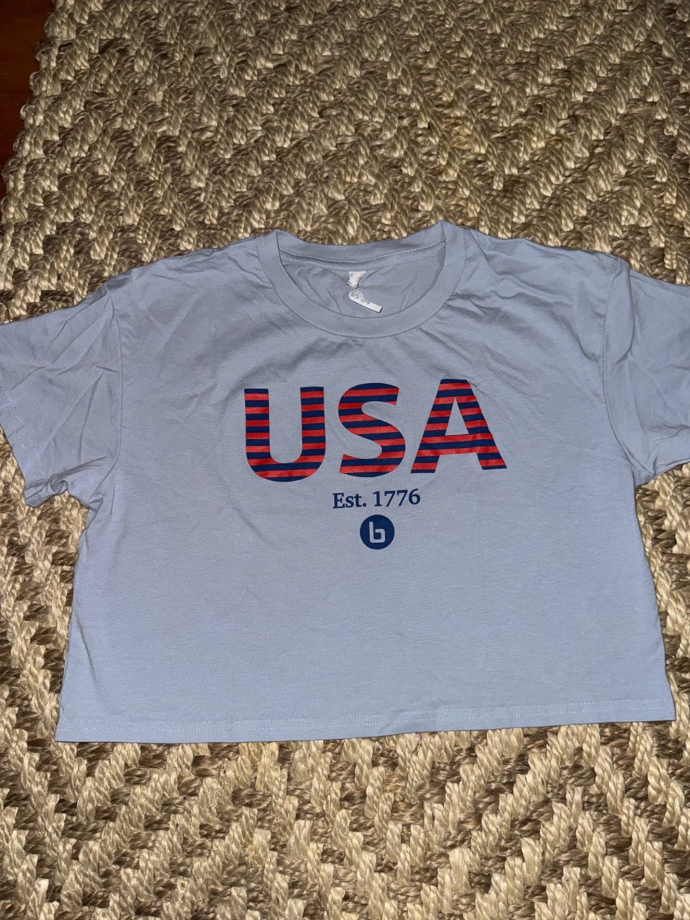 Burn Boot Camp USA cropped tee Light Blue small